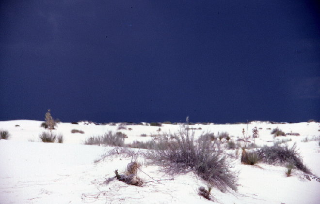 File0058s.jpg