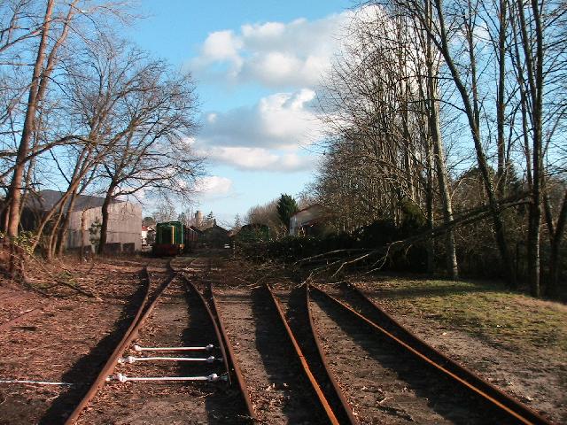 PHOTOARCHIVES_2009_01_010_resized_by_rdd.jpg