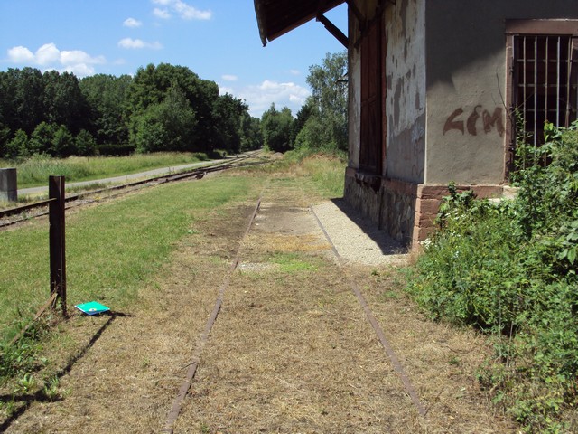 DSC07890a.JPG