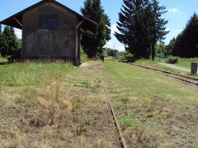 DSC07891a.JPG