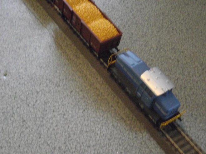 DSCF5352.JPG