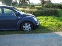 100_3676.JPG