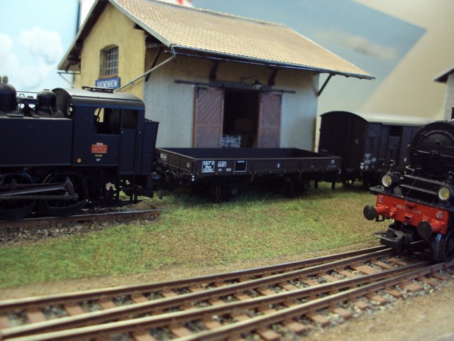 DSC08698a.JPG
