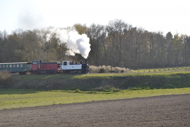 DSC_0438.JPG