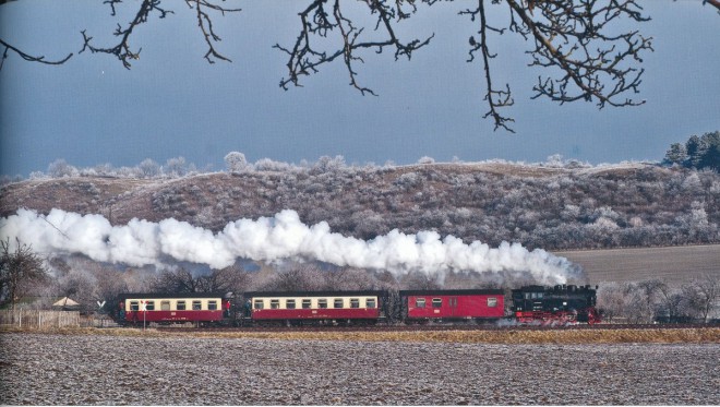 20 Jahre Harzer Schmalspurbahnen 79 reduit.jpg