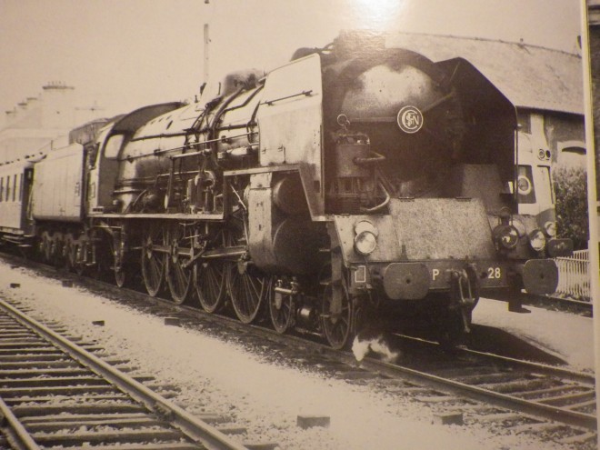 IMGP5440.JPG