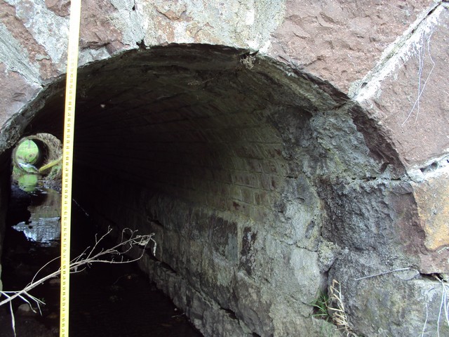 DSC08772a.JPG
