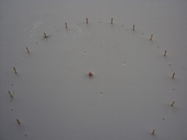 DSC08813a.JPG