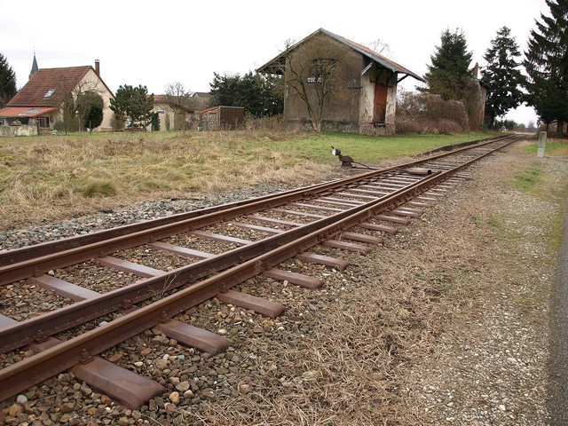 PC205385a.JPG