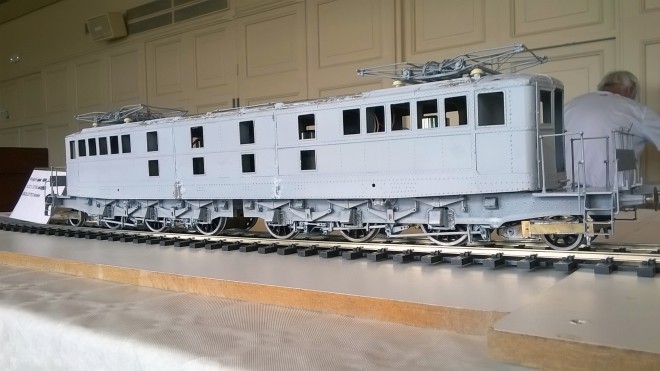 A.Goletto-1CC1 PLM.jpg