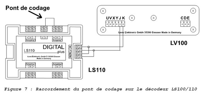 ls100.jpg