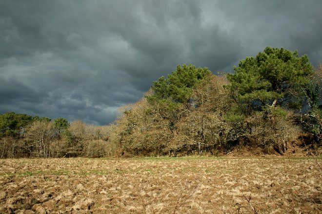 img_1174tn.jpg