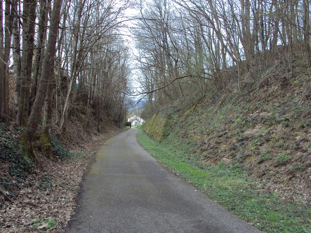 DSC08763a.JPG