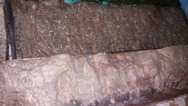 20160430_203453.jpg