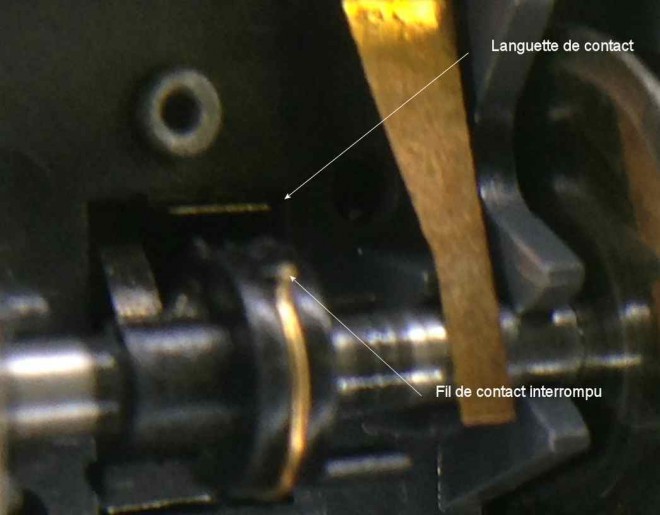 Image1.jpg