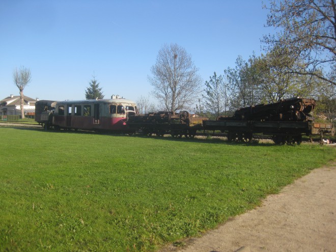 IMG_5446.JPG