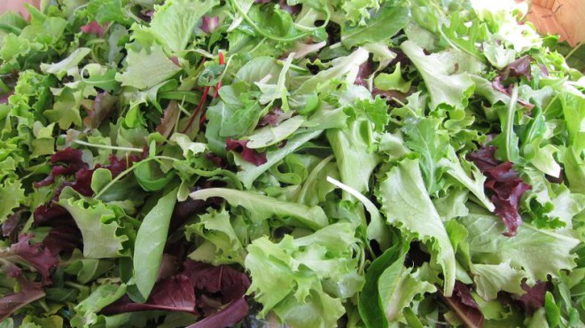 100522-mesclun.jpg