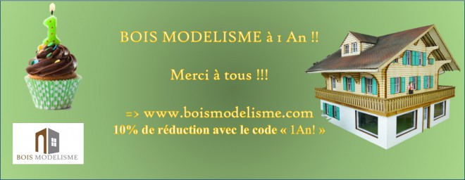 BOIS MODELISME 1 an !.jpg