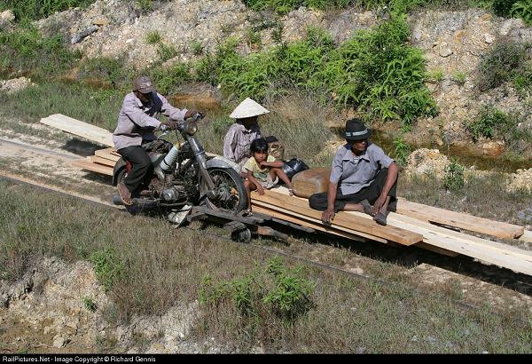 ecotrain.jpg