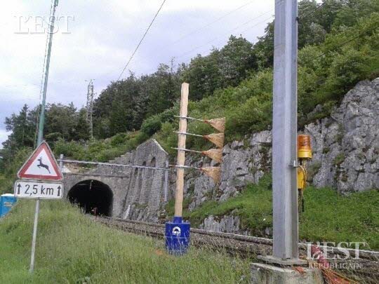 balais suisses.jpg