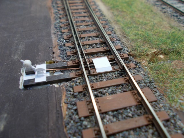 DSCN0030a.JPG