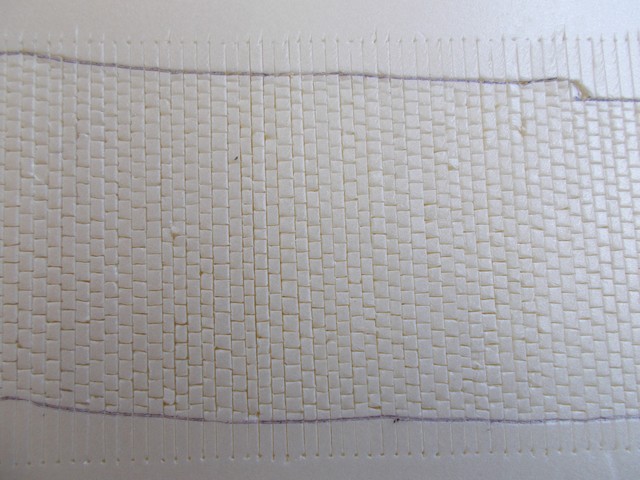 DSCN0407a.JPG