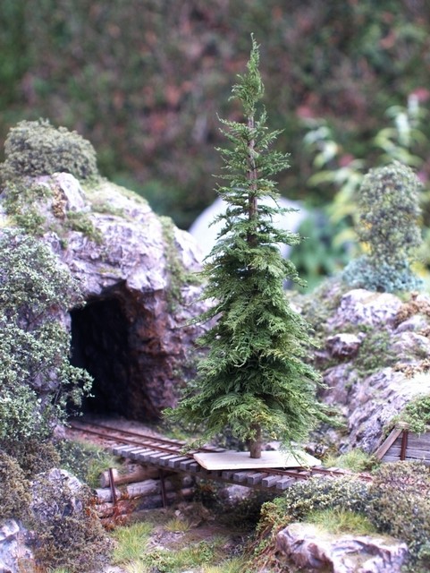 PICT0019a.JPG